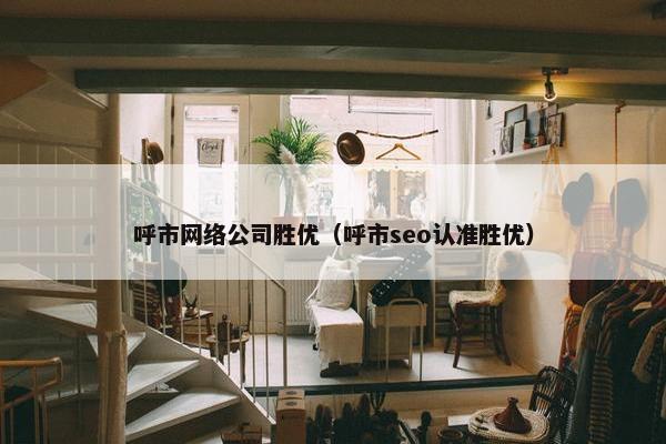 呼市网络公司胜优（呼市seo认准胜优）-第1张图片-冷动云