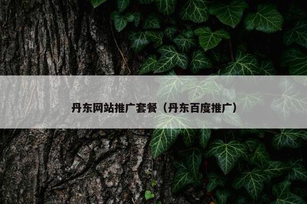 丹东网站推广套餐（丹东百度推广）-第1张图片-冷动云