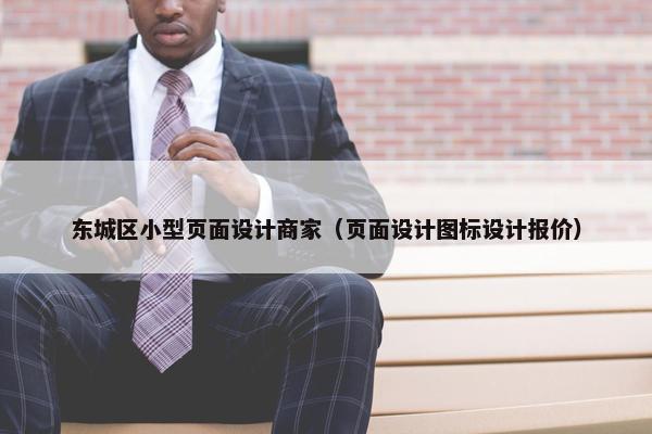 东城区小型页面设计商家（页面设计图标设计报价）-第1张图片-冷动云