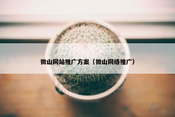 微山网站推广方案（微山网络推广）-第1张图片-冷动云
