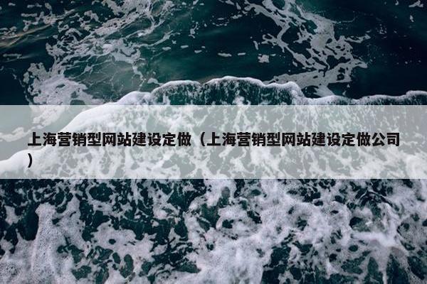 上海营销型网站建设定做（上海营销型网站建设定做公司）-第1张图片-冷动云