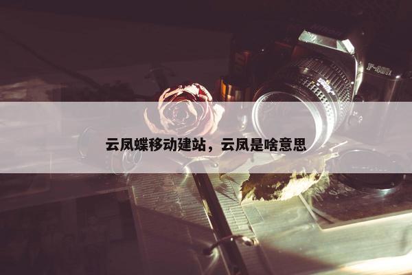 云凤蝶移动建站，云凤是啥意思-第1张图片-冷动云