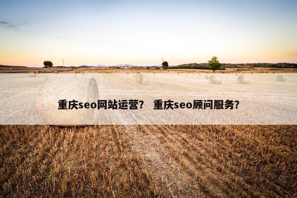 重庆seo网站运营？ 重庆seo顾问服务？-第1张图片-冷动云