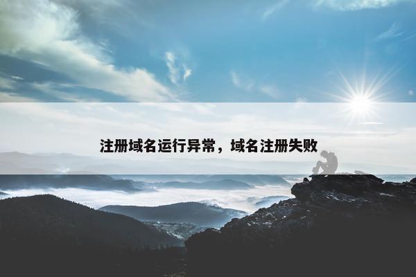 注册域名运行异常，域名注册失败-第1张图片-冷动云
