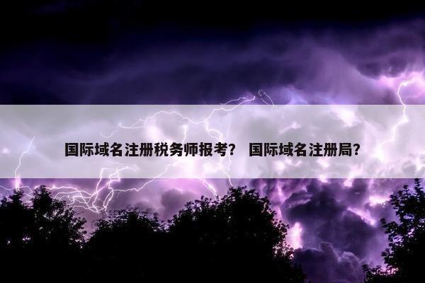 国际域名注册税务师报考？ 国际域名注册局？-第1张图片-冷动云