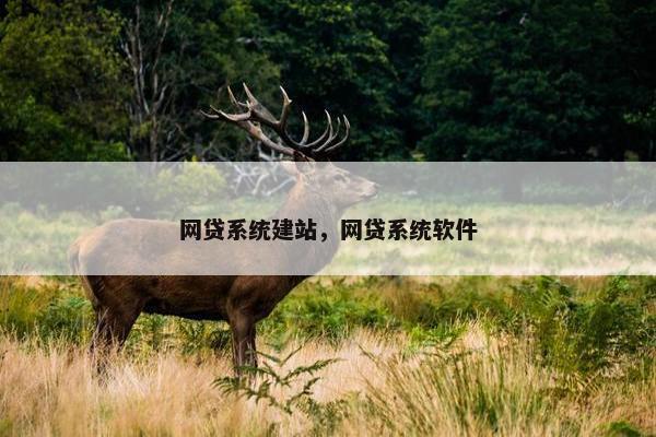 网贷系统建站，网贷系统软件-第1张图片-冷动云
