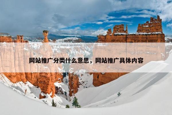 网站推广分类什么意思，网站推广具体内容-第1张图片-冷动云