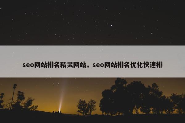 seo网站排名精灵网站，seo网站排名优化快速排-第1张图片-冷动云