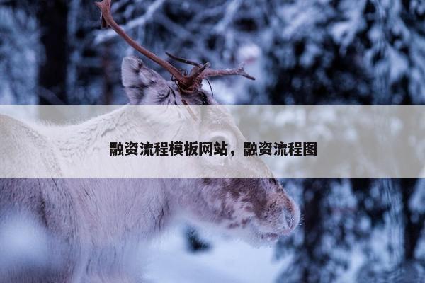 融资流程模板网站，融资流程图-第1张图片-冷动云
