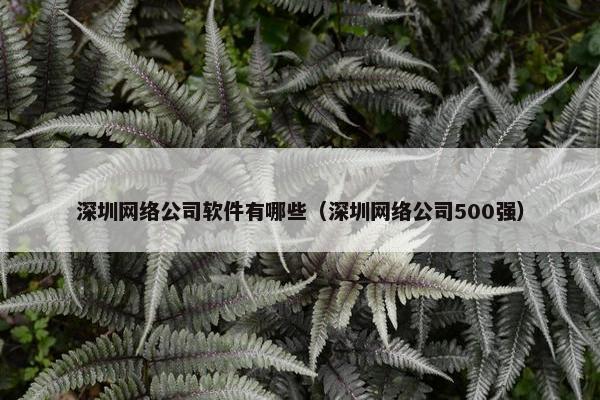 深圳网络公司软件有哪些（深圳网络公司500强）-第1张图片-冷动云