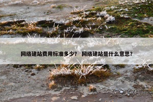 网络建站费用标准多少？ 网络建站是什么意思？-第1张图片-冷动云