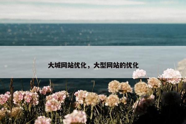 大城网站优化，大型网站的优化-第1张图片-冷动云