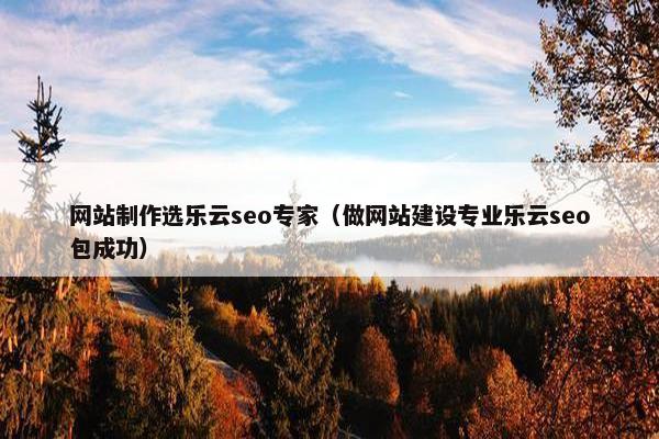 网站制作选乐云seo专家（做网站建设专业乐云seo包成功）-第1张图片-冷动云
