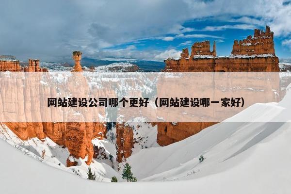 网站建设公司哪个更好（网站建设哪一家好）-第1张图片-冷动云