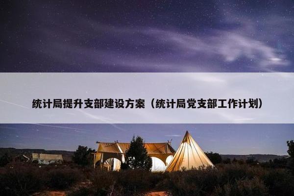 统计局提升支部建设方案（统计局党支部工作计划）-第1张图片-冷动云