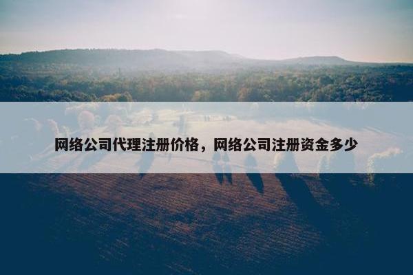 网络公司代理注册价格，网络公司注册资金多少-第1张图片-冷动云