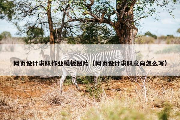 网页设计求职作业模板图片（网页设计求职意向怎么写）-第1张图片-冷动云