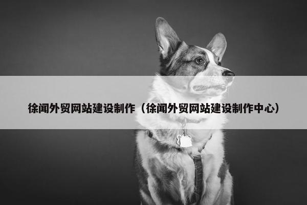徐闻外贸网站建设制作（徐闻外贸网站建设制作中心）-第1张图片-冷动云