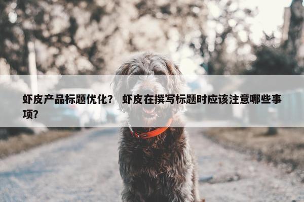虾皮产品标题优化？ 虾皮在撰写标题时应该注意哪些事项？-第1张图片-冷动云