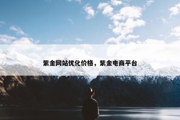 紫金网站优化价格，紫金电商平台-第1张图片-冷动云