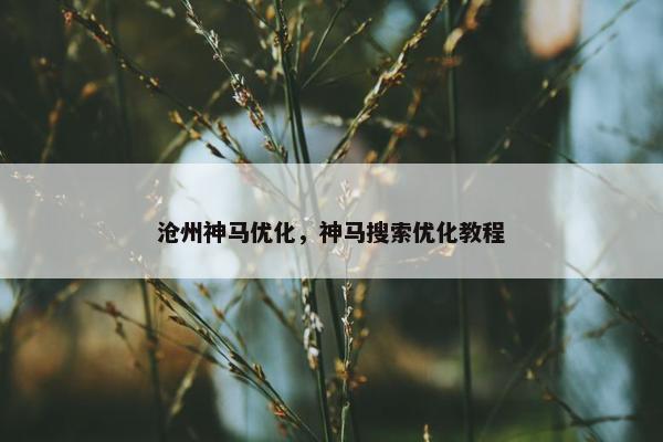 沧州神马优化，神马搜索优化教程-第1张图片-冷动云
