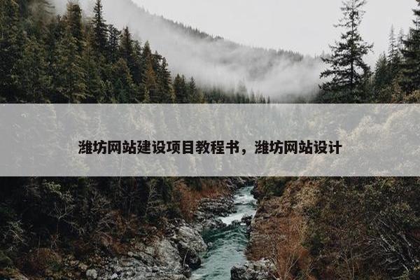 潍坊网站建设项目教程书，潍坊网站设计-第1张图片-冷动云