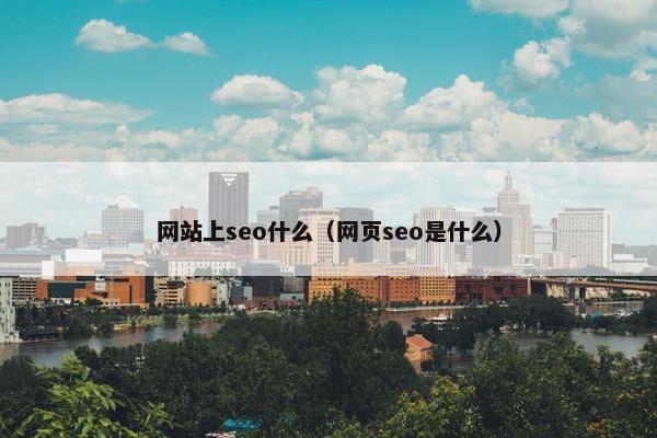 网站上seo什么（网页seo是什么）-第1张图片-冷动云