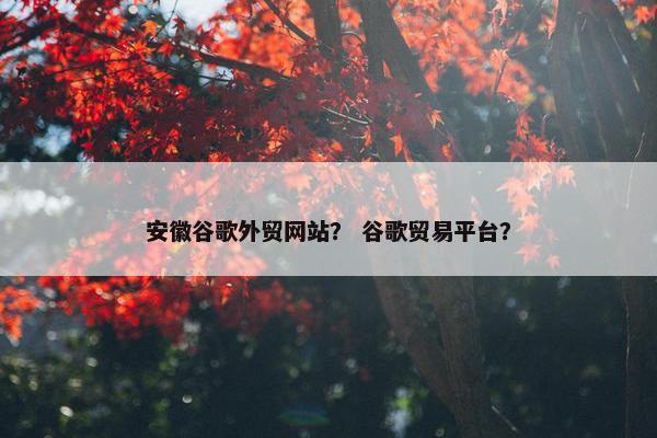 安徽谷歌外贸网站？ 谷歌贸易平台？-第1张图片-冷动云