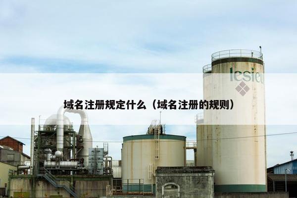 域名注册规定什么（域名注册的规则）-第1张图片-冷动云