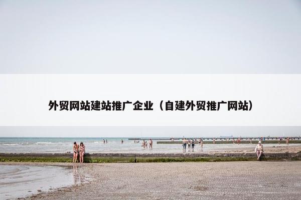 外贸网站建站推广企业（自建外贸推广网站）-第1张图片-冷动云