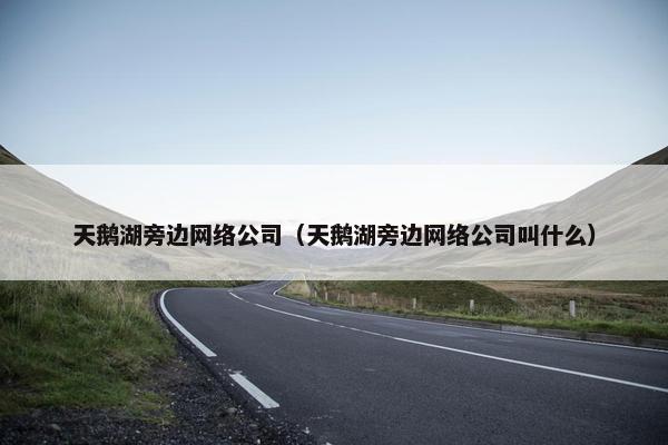 天鹅湖旁边网络公司（天鹅湖旁边网络公司叫什么）-第1张图片-冷动云