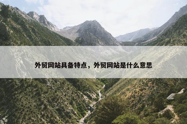 外贸网站具备特点，外贸网站是什么意思-第1张图片-冷动云