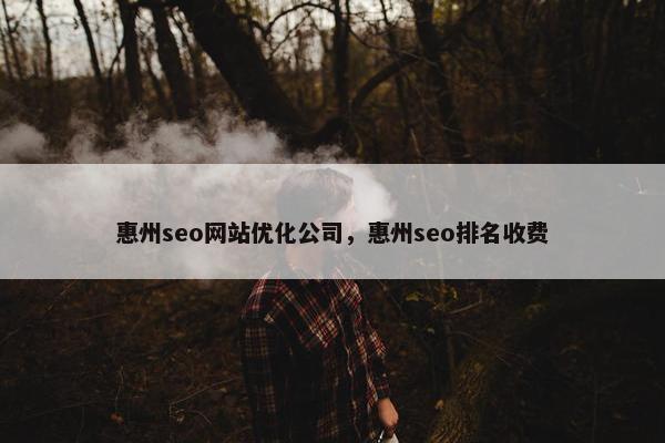 惠州seo网站优化公司，惠州seo排名收费-第1张图片-冷动云