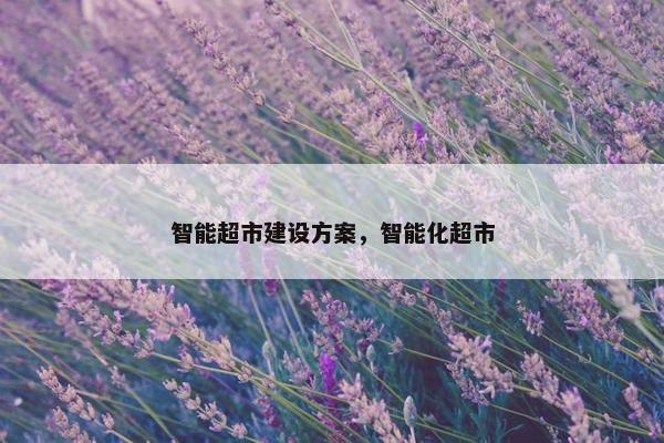 智能超市建设方案，智能化超市-第1张图片-冷动云