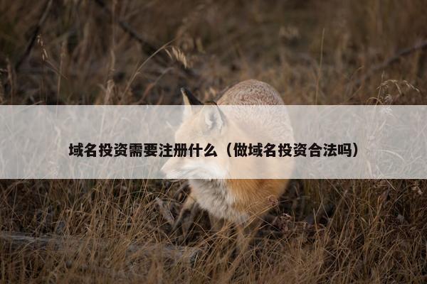 域名投资需要注册什么（做域名投资合法吗）-第1张图片-冷动云