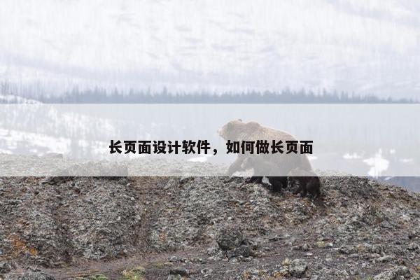 长页面设计软件，如何做长页面-第1张图片-冷动云