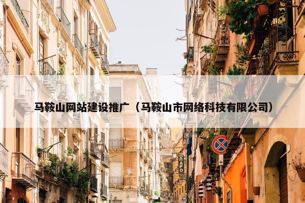 马鞍山网站建设推广（马鞍山市网络科技有限公司）-第1张图片-冷动云