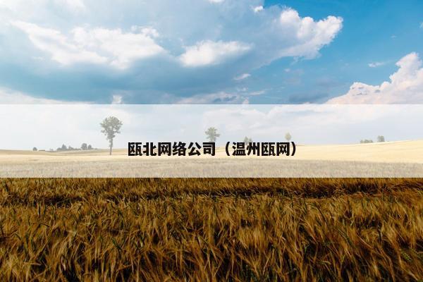 瓯北网络公司（温州瓯网）-第1张图片-冷动云