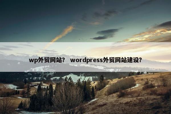wp外贸网站？ wordpress外贸网站建设？-第1张图片-冷动云
