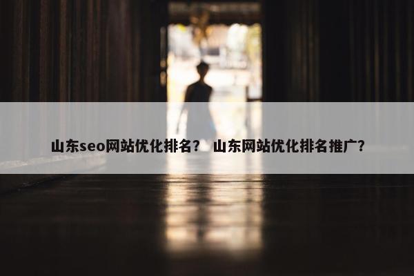 山东seo网站优化排名？ 山东网站优化排名推广？-第1张图片-冷动云