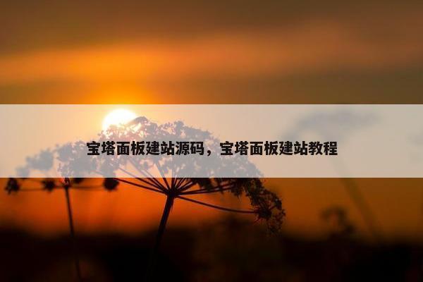 宝塔面板建站源码，宝塔面板建站教程-第1张图片-冷动云