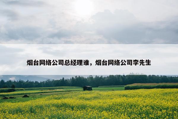 烟台网络公司总经理谁，烟台网络公司李先生-第1张图片-冷动云