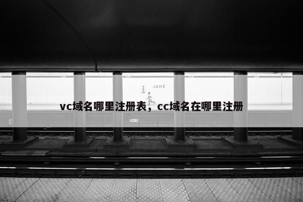 vc域名哪里注册表，cc域名在哪里注册-第1张图片-冷动云
