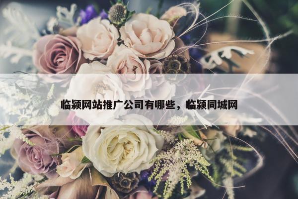 临颍网站推广公司有哪些，临颍同城网-第1张图片-冷动云