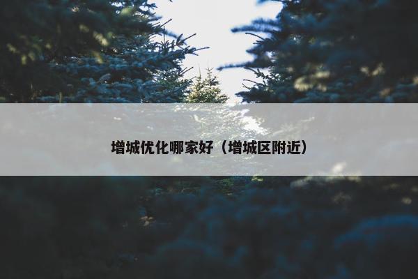 增城优化哪家好（增城区附近）-第1张图片-冷动云