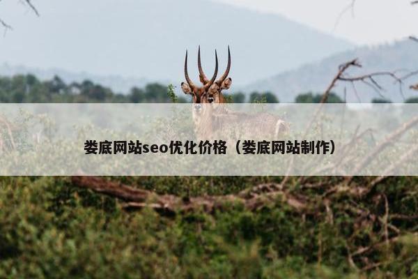 娄底网站seo优化价格（娄底网站制作）-第1张图片-冷动云