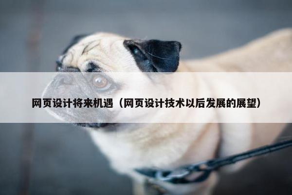 网页设计将来机遇（网页设计技术以后发展的展望）-第1张图片-冷动云