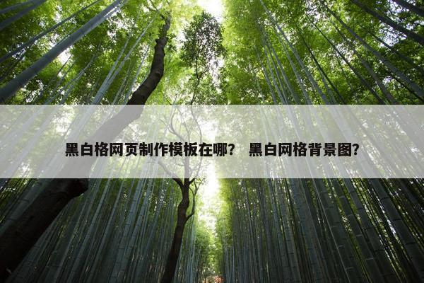 黑白格网页制作模板在哪？ 黑白网格背景图？-第1张图片-冷动云