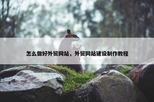 怎么做好外贸网站，外贸网站建设制作教程-第1张图片-冷动云