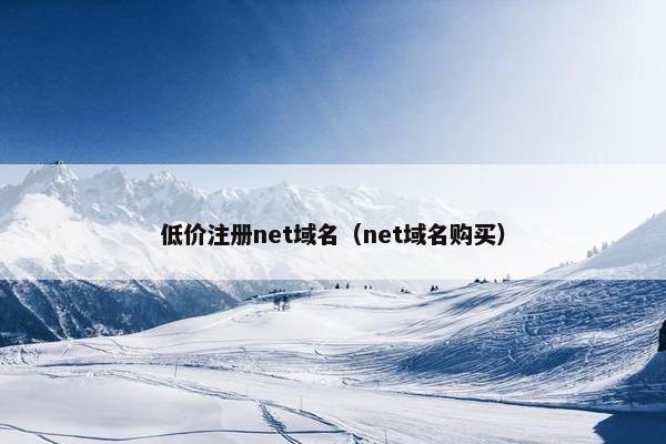 低价注册net域名（net域名购买）-第1张图片-冷动云